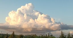 20230903_194346.jpg