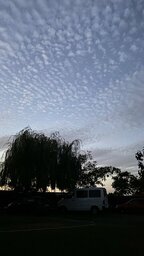 IMG_0771.jpeg