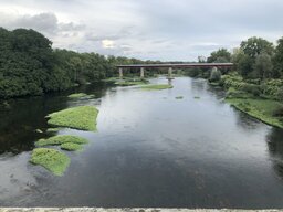 IMG_3812.jpeg