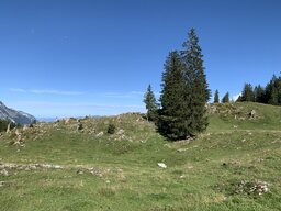 IMG_4309.jpeg