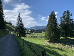 IMG_4310.jpeg
