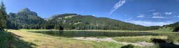 IMG_4298.jpeg