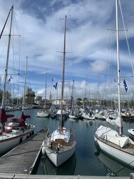 IMG_4703.jpeg