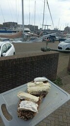 IMG-20230927-WA0026.jpeg