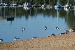 Brombachsee auf der Halbinsel.