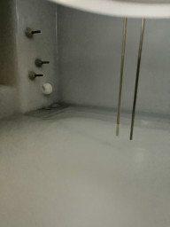 IMG_1082.jpeg
