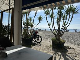 IMG_4639.jpeg