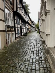 IMG_1245.jpeg