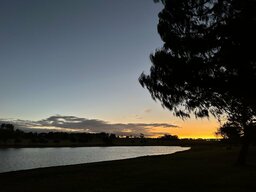 IMG_2279.jpeg