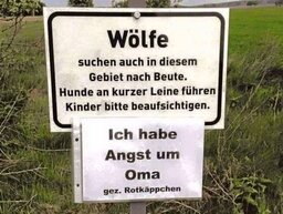 1697641600419.jpg
