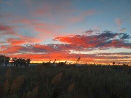 20231018_192633~3.jpg