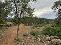 Natur pur