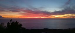IMG_20231027_195335.jpg