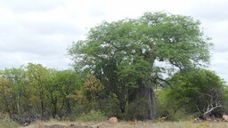 image7.jpeg