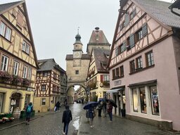 IMG_2409.jpeg