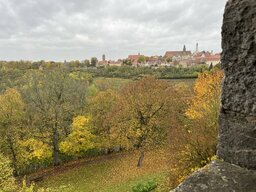 IMG_2386.jpeg