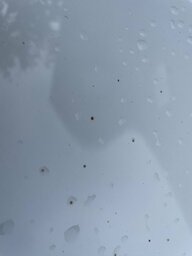 5EF7FDAC-6042-4DA6-AB31-8A575DDACB7B.jpeg