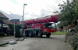 s1.jpg