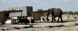 IMG_3173.jpeg