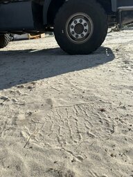 IMG_3174.jpeg