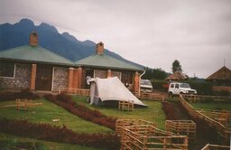 Silberrücken Ruanda0003.jpg
