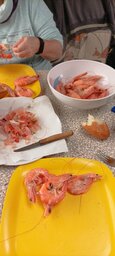 IMG_20231116_162009.jpg