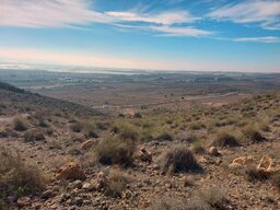 20231120_121551~3.jpg