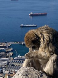 Gibraltar