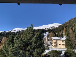 IMG_4528.jpeg