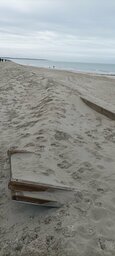 IMG_20231112_095516.jpg