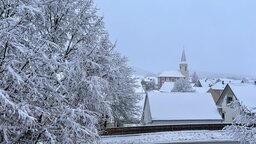 IMG_5556.jpeg