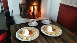 IMG_20231218_110146.jpg