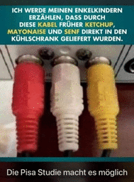 IMG_0564.png