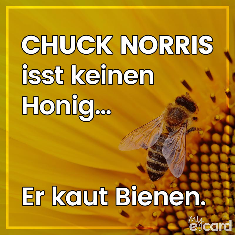 bienen.png