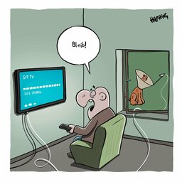 hund2.jpg