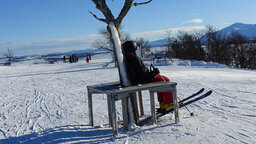 DSC02535.jpg