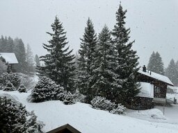 IMG_0427.jpeg
