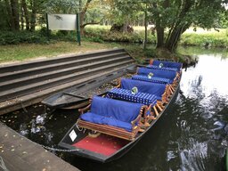 IMG_3686.JPG