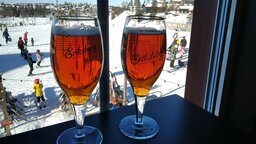 IMG_20240306_133617.jpg