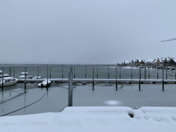 IMG_1404.jpeg