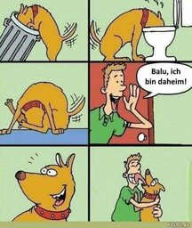 hunde.jpg