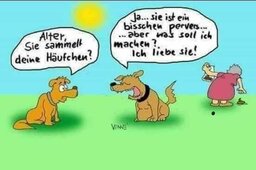 hunde.jpg