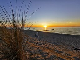 IMG_20240508_204758.jpg