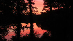 IMG_8691.jpg