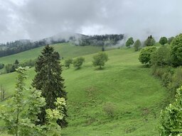 IMG_4391.jpeg