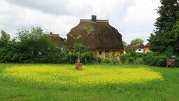 IMG_8886.jpg