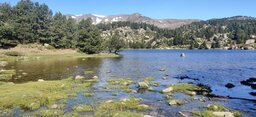 IMG_20240531_104314.jpg