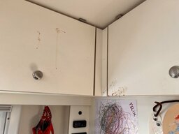 IMG_0817.jpeg
