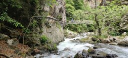 IMG_20240601_135113.jpg