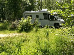 IMG_20240605_170154.jpg
